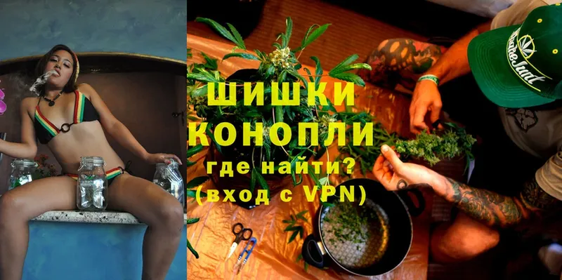 Конопля SATIVA & INDICA  Жирновск 